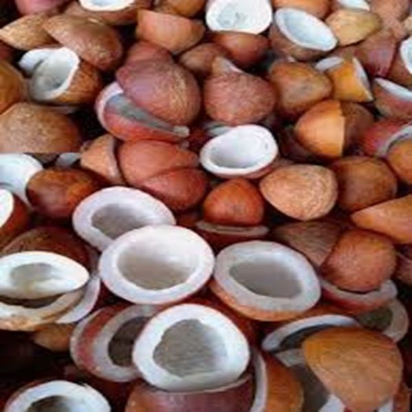 Copra (Dried Coconut)