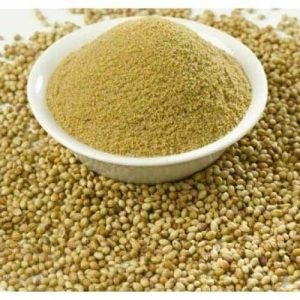 Coriander