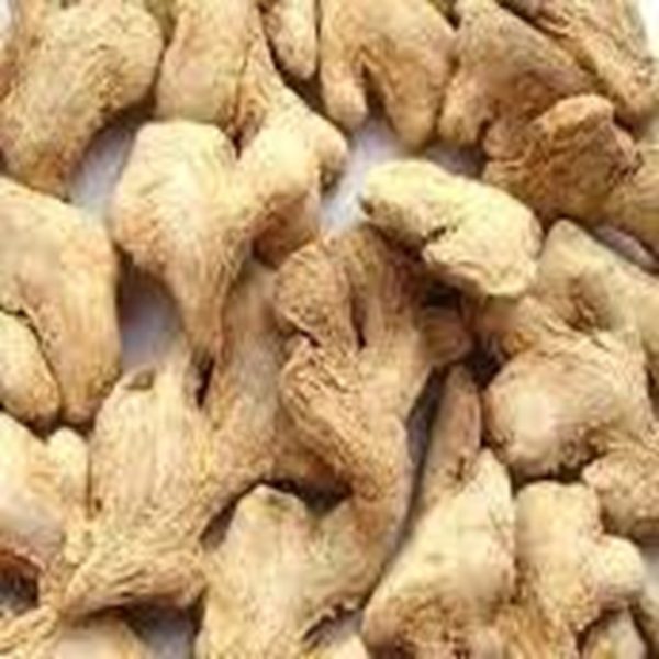Ginger – Fresh & Dried